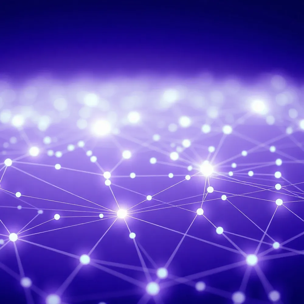 Follow our streamlined deployment process to secure your enterprise AI usage while maintaining clear audit trails for global compliance.