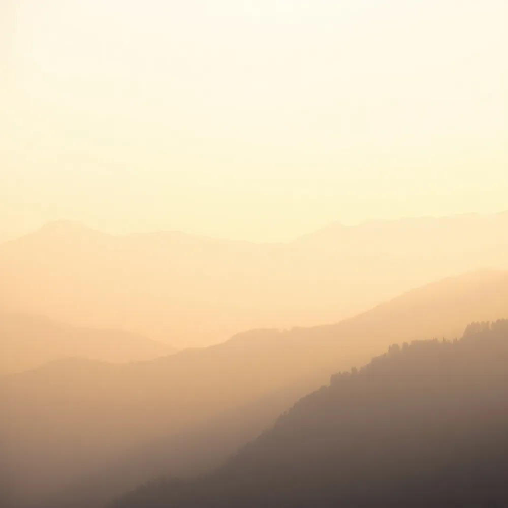 Explore over 150 premium blends sourced directly from our Himalayan partners to find the perfect tea that honors your personal wellness journey.