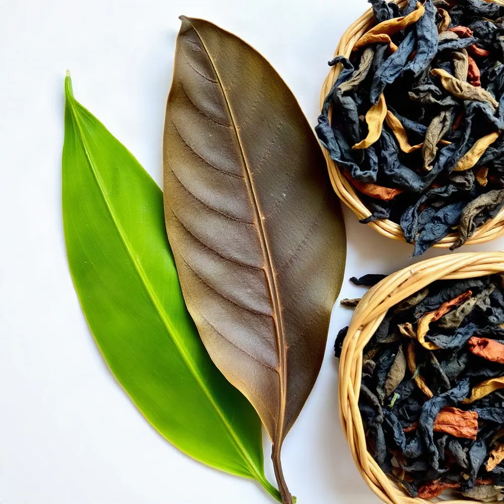 From the same Camellia sinensis plant, oolong and black tea diverge through the art of oxidation, creating distinct flavors and caffeine profiles for every tea lover.